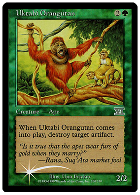 Orangutn de Uktabi (EN)